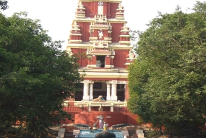 Delhi: Laxmi Narayan-templet Birla Mandir Guidet tur