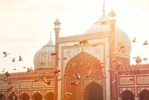 Delhi Layover Tour: Gammalt & Nytt, Flygplats till Stad med transfer