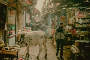 Delhi: Lokal middagstur i det gamle delhi