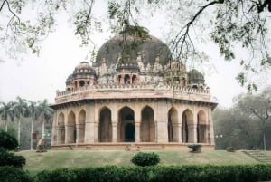 Delhi: Lodhi Gardens Guided Walking Tour