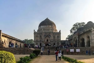 Delhi: Lodhi Gardens Guided Walking Tour