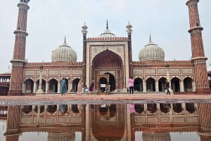 Delhi: Luksuriøs privat guidet halvdagstur i Delhi 🏰