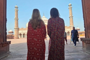 Delhi: Luksuriøs privat guidet halvdagstur i Delhi 🏰