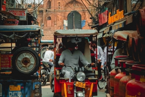 Delhi: Luksuriøs privat halvdagstur med guide i Delhi 🏰