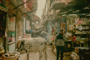 Delhi : visite guidée privée luxueuse d'une demi-journée de Delhi 🏰