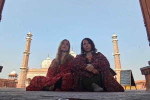 Delhi: Luksuriøs privat guidet halvdagstur i Delhi 🏰