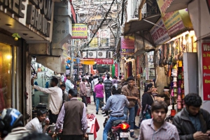 Delhi: Gestalte deine eigene private Tour durch die Stadt