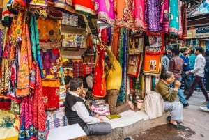 Delhi Markets: A Cultural Shopping Experience with an Expert