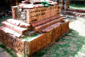 Delhi: Mehrauli arkeologiske park med henting på hotellet