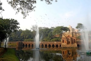 Delhi: Mehrauli arkeologiske park med henting på hotellet
