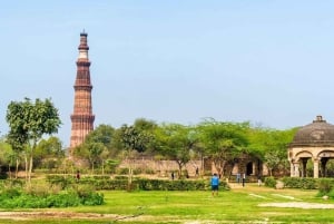 Delhi: Mehrauli arkeologiske park med henting på hotellet