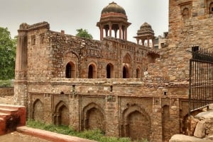 Delhi: Mehrauli arkeologiske park med henting på hotellet