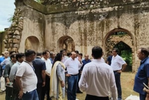 Delhi: Mehrauli arkeologiske park med henting på hotellet