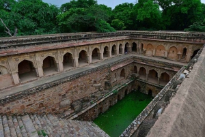 Delhi: Mehrauli con alcuni tour a piedi di siti importanti