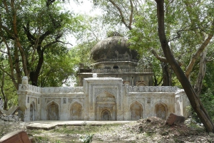 Delhi: Mehrauli con alcuni tour a piedi di siti importanti