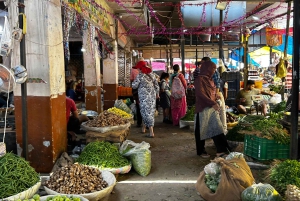 Delhi: Mehrauli con alcuni tour a piedi di siti importanti