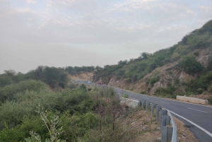 Delhi NCR/Gurgaon: Leopard Trail i jego kawiarnie