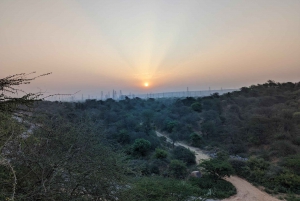 Delhi NCR/Gurgaon: Leopard Trail og dens caféer