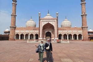 DELHI: NYTT OCH GAMMALT SJÄLVSTÄNDIG RESPLAN HELDAGS- ELLER HALVDAGSTUR