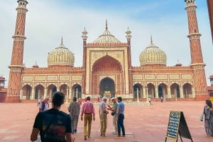 DELHI: NEU UND ALT SELBST GESTALTETE RUTE VERTRAULICHE GANZTAGESTOUR ODER HALBTAGESTOUR