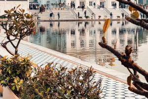 Дели: тур по Старому и Новому Дели с опытным гидом