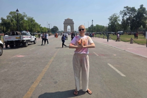 Delhi: New Delhi & Old Delhi Full Day Private Tour in Delhi