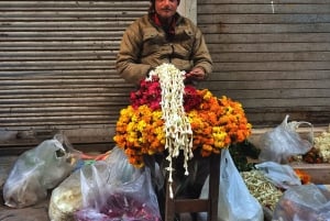 Delhi: No Delhi Belly Food Tour med chai-te