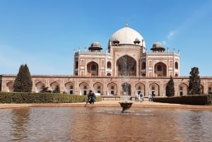 Delhi: Old and New City Full-Day Guided Tour