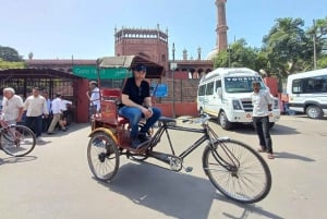 Delhi: Old and New City Full-Day Guided Tour