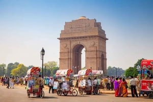 Delhi: Old and New City Full-Day Guided Tour