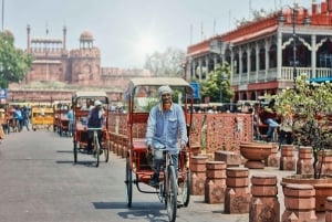 Delhi: Vanha ja uusi kaupunki kokopäiväretki hotellin noutoineen