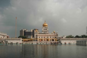 Delhi: tour di un giorno della città vecchia e nuova con servizio di prelievo in hotel