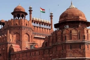 Delhi: tour della città vecchia e nuova di un giorno con pranzo