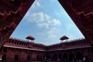 Delhi: tour della città vecchia e nuova di un giorno con pranzo