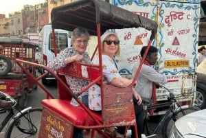 Delhi: tour della città vecchia e nuova di un giorno con pranzo