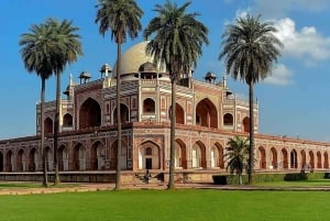 Delhi: Old and New City Highlights Full-Day Tour