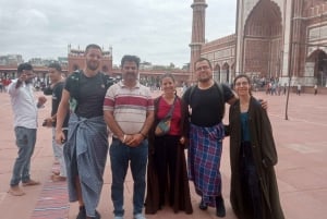 Delhi: Old and New City Highlights Full-Day Tour