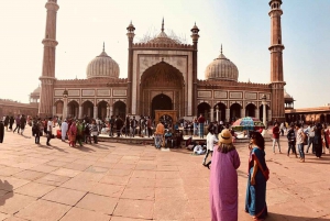 Delhi: Old and New Delhi City Private Day Tour