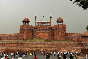 Delhi: Old and New Delhi City Private Day Tour