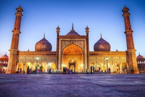 Delhi: Old and New Delhi City Private Day Tour