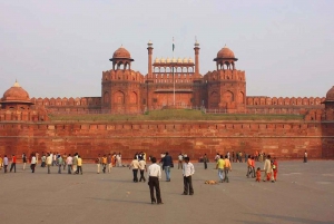 Delhi : visite guidée privée de la vieille et de la nouvelle ville de Delhi en voiture