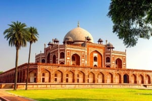 Delhi: Privat dagstur med guide til gamlebyen og New Delhi