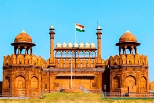 Delhi: Privat dagstur med guide til gamlebyen og New Delhi