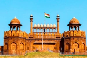 Delhi: Privat dagstur med guide til gamlebyen og New Delhi