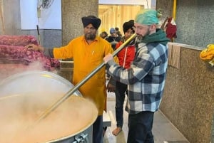 Delhi: Det gamle og det nye Delhi – privat guidet halvdagstur