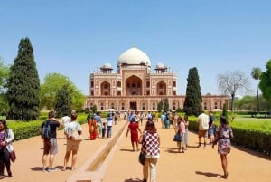 Delhi: całodniowa lub półdniowa wycieczka po starym i nowym Delhi