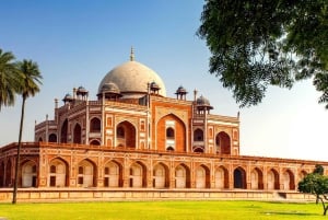 Delhi: całodniowa lub półdniowa wycieczka po starym i nowym Delhi