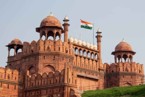 Delhi: Old and New Delhi Full or Half-Day Guided Tour by Car