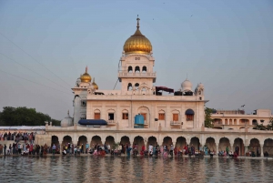 Delhi: Vecchia e Nuova Delhi Tour guidato di mezza giornata o di un giorno intero