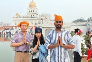 Delhi: Excursão particular de 1 dia ou de meio dia pela Velha e Nova Deli